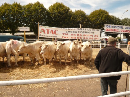 Boerenmarkt Corbigny